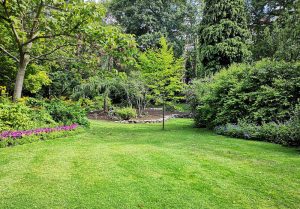 Optimiser l'expérience du jardin à Bourgnac